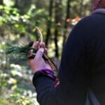 2019-waldbaden_esthal-1024x682