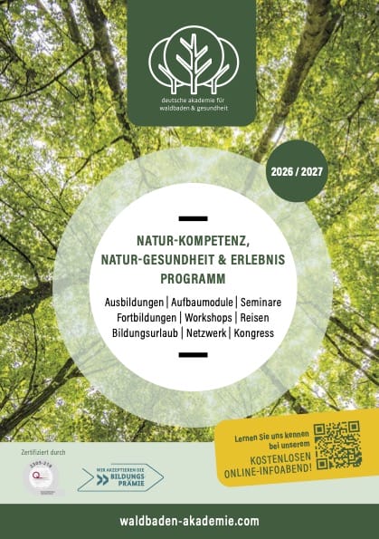 Programm-Kataloge